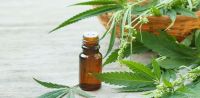 CBD Hanföl - die Nebenwirkungen von CBD