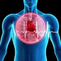 CBD Öl gegen Arteriosklerose