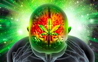 CBD – warum wirkt es nicht bei mir?