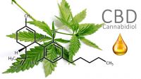 CBD ist nicht gleich CBD