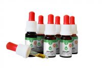 CBD Hanföl vs. CBD Hanföl Kristall