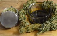CBD Hanföl - Länge der Wirkung